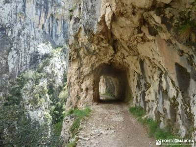 Ruta Cares-Picos de Europa; parque natural pagoeta nacimiento del rio pisuerga marcha 7 picos